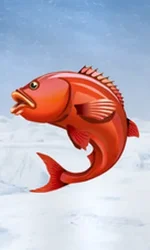 Ice Fishing
